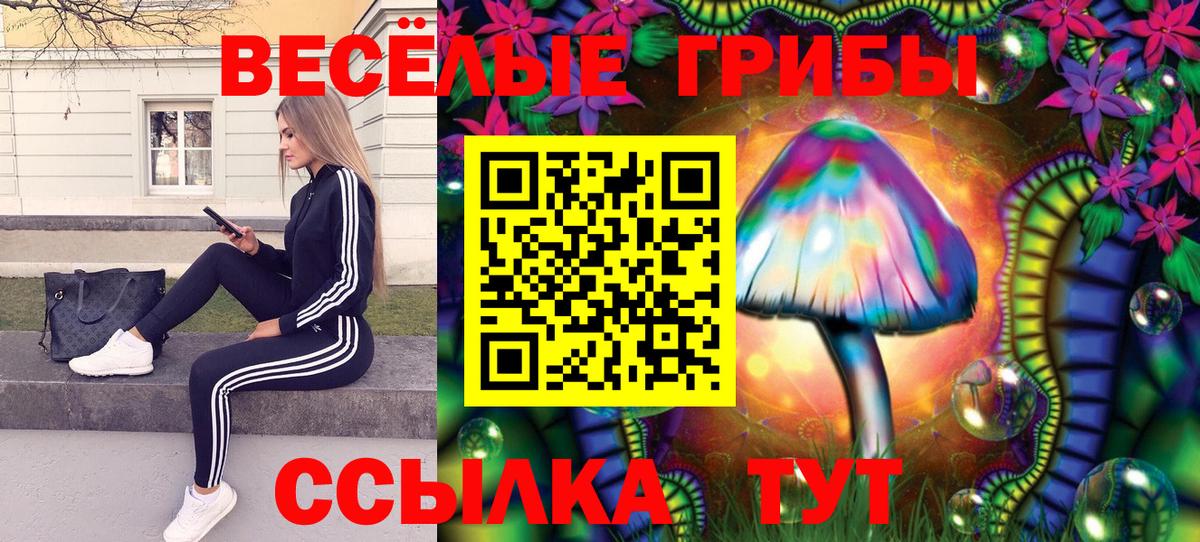 Псилоцибиновые грибы Magic Shrooms  Вход с VPN  Каспийск  купить наркотики сайты  Псилоцибиновые грибы мицелий 