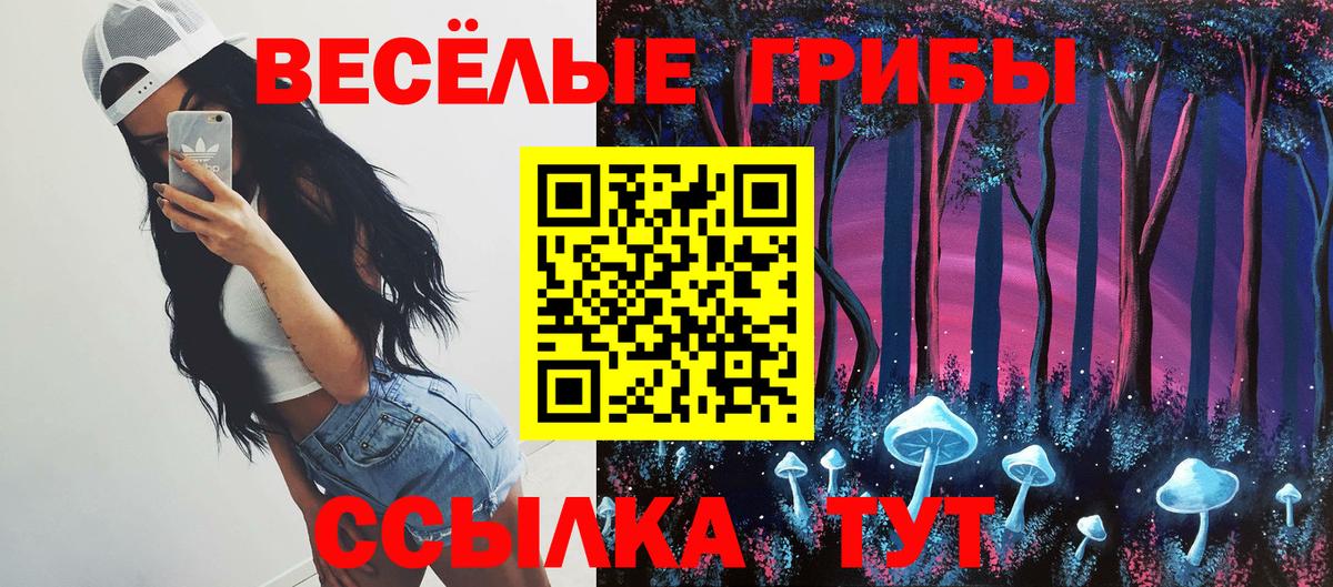 Псилоцибиновые грибы Psilocybe Каспийск